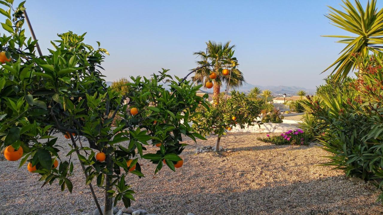 Villa Campos del Río Buitenkant foto